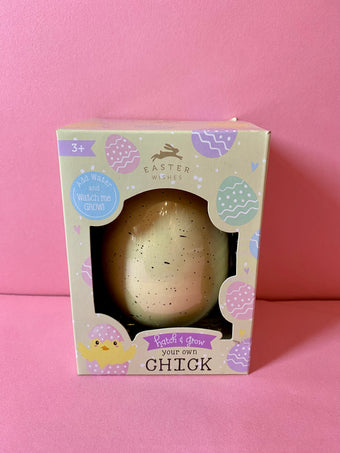 EASTER HATCH & GROW YOUR CHICK