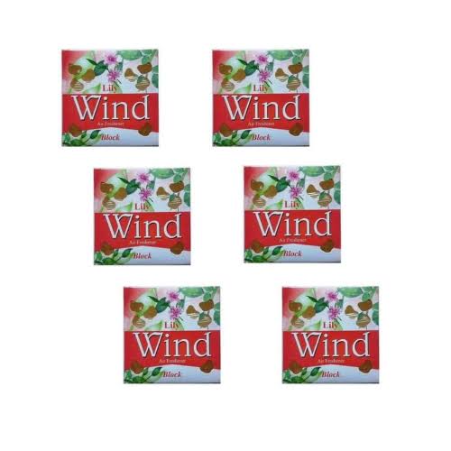 Wind air freshener