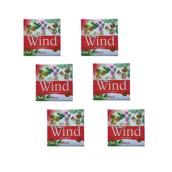 Wind air freshener