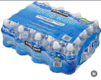 Kirkland spring water
